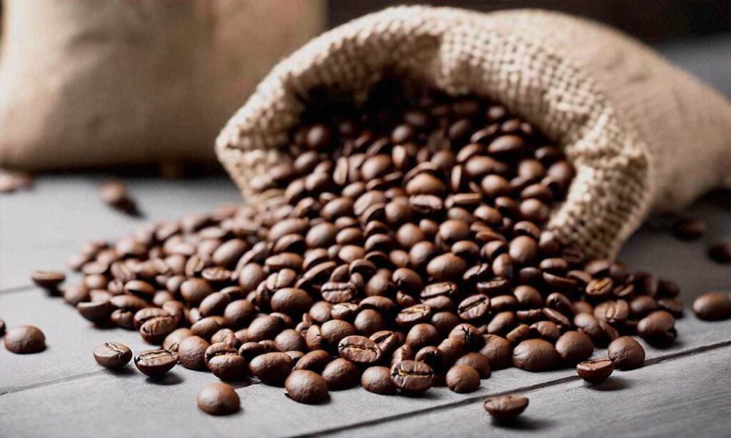 Przegląd Wiadomości Kawowych, 9 maja: Prognozy dla Brazylii na lata 2025/26 sięgają 55,7 mln worków, World Brewers Cup odbędzie się w Dżakarcie w dniach 15-17 maja oraz inne wiadomości