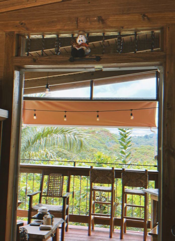 Podstawy rozwoju: Jak agroturystyka ożywia przemysł kawowy w Portoryko - Część druga