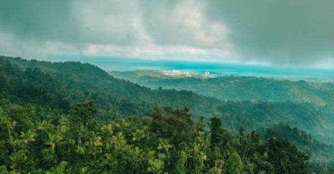 Podstawy rozwoju: Jak agroturystyka ożywia przemysł kawowy w Portoryko - Część druga