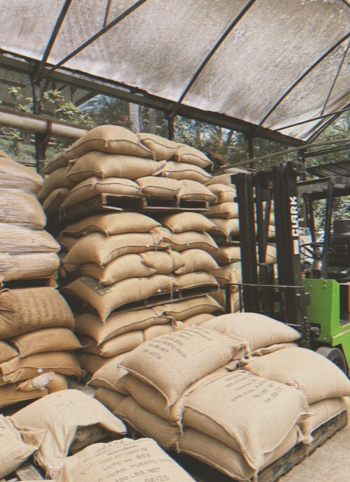 Podstawy rozwoju: Jak agroturystyka ożywia przemysł kawowy w Portoryko - Część pierwsza