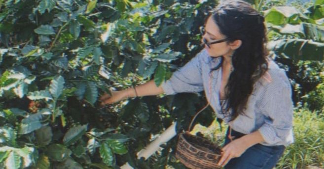 Podstawy rozwoju: Jak agroturystyka ożywia przemysł kawowy w Portoryko - Część pierwsza