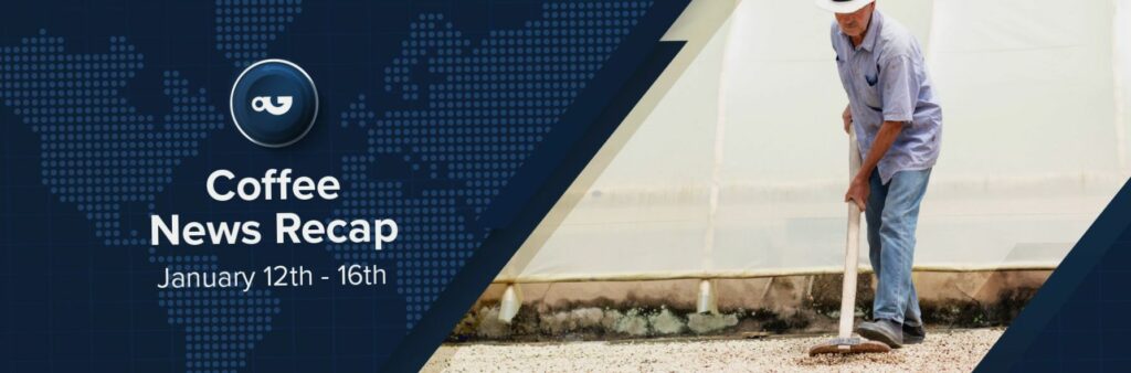 Przegląd wiadomości kawowych, 16 stycznia: Coca-Cola podobno wstrzymuje sprzedaż Costy, ICO informuje o spadku cen kawy w grudniu z powodu złagodzenia obaw o podaż i inne wiadomości