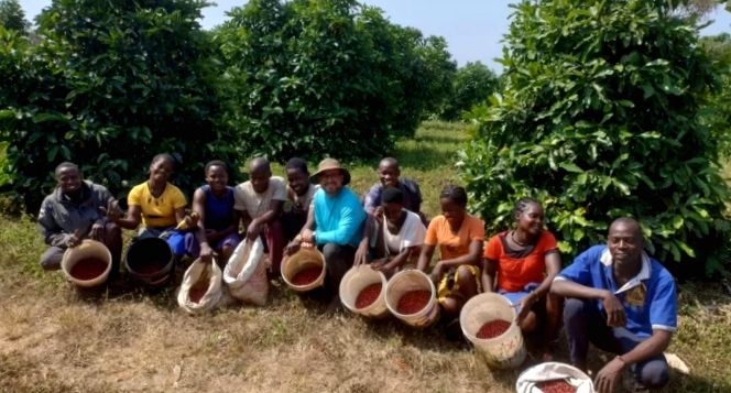 Doskonałość w Excelsie: Uprawa kawy dla pokoju w Sudanie Południowym