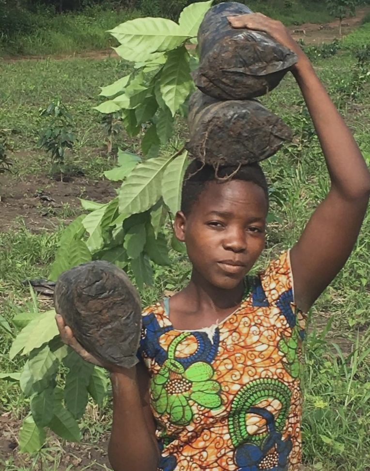Doskonałość w Excelsie: Uprawa kawy dla pokoju w Sudanie Południowym