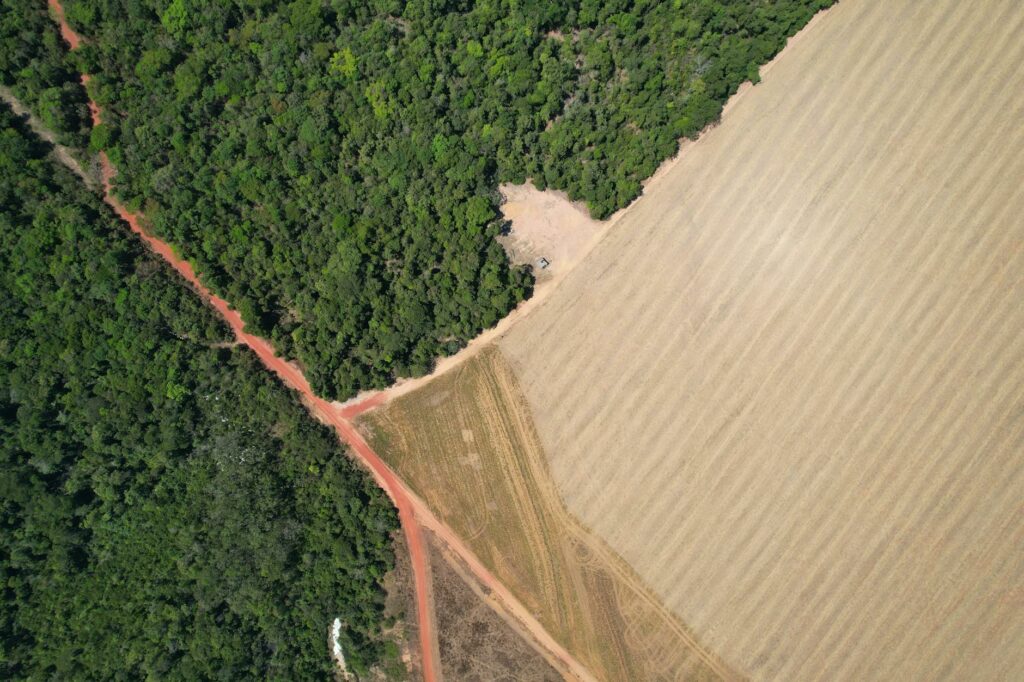 Grounds for Relief?—New Study Shows Coffee Accounts for Just 1% of Agriculture-Driven Deforestation